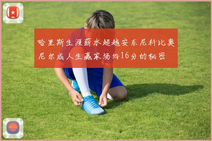 哈里斯生涯薪水超越安东尼科比奥尼尔成人生赢家场均16分的秘密