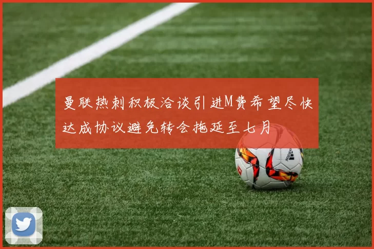 曼联热刺积极洽谈引进M费希望尽快达成协议避免转会拖延至七月